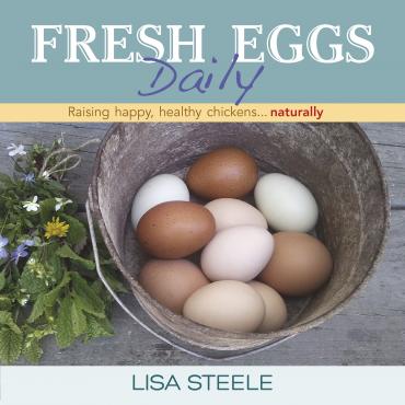 Fresh Eggs Daily Fresh Eggs Daily
