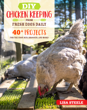 DIY Chicken Keeping